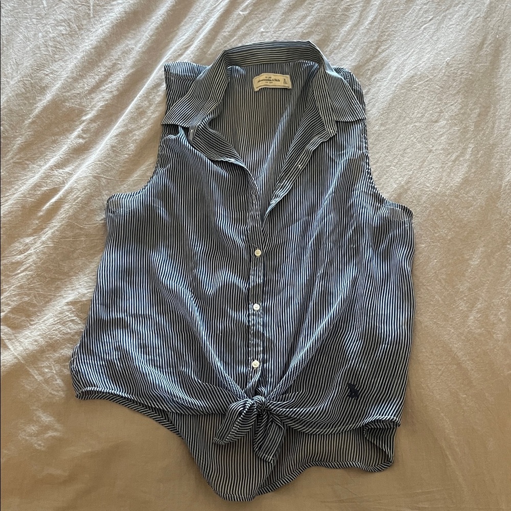 Abercrombie & Fitch Blue Striped Sleeveless Button Down Shirt